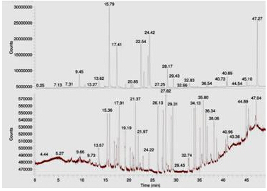 Τ��1946��(�й���)�ٷ���վ