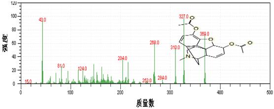 Τ��1946��(�й���)�ٷ���վ