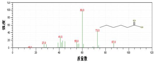 Τ��1946��(�й���)�ٷ���վ